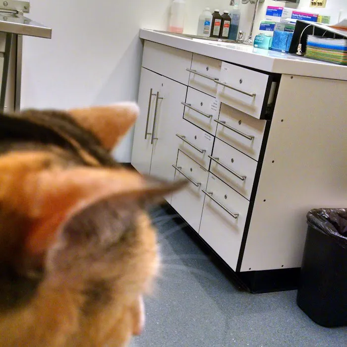 Ryan Veterinary Hospital Picture 7