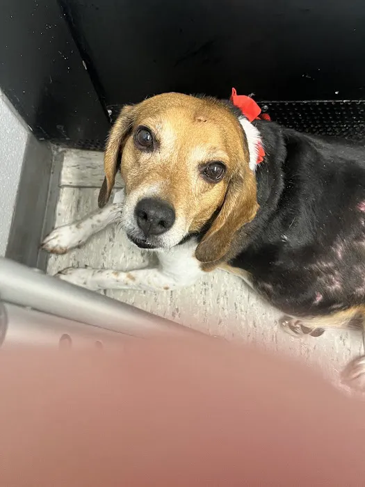 University of Pennsylvania Veterinary Hospital Emergency Wing Picture 2