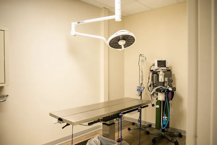 Indy Veterinary Care Picture 6