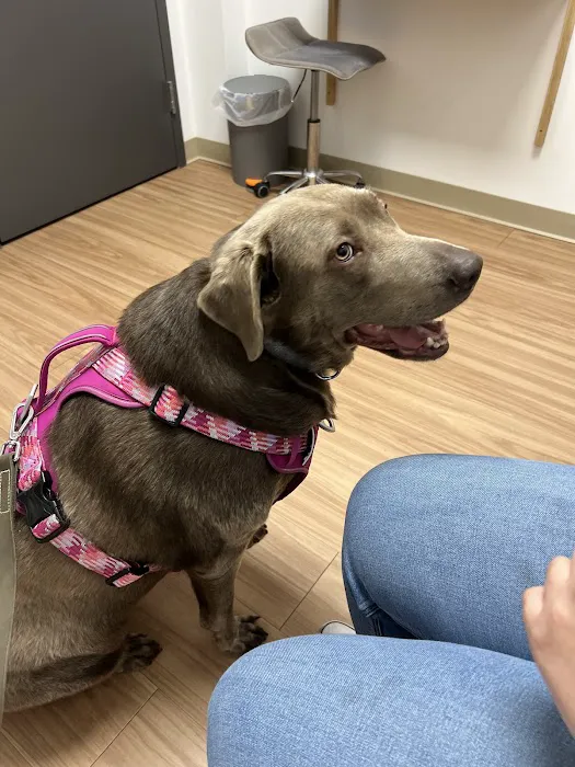 Indy Veterinary Care Picture 2