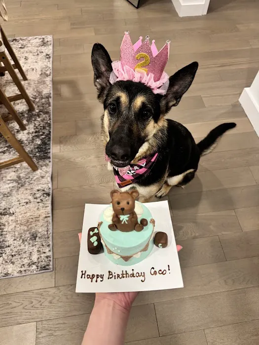 Axel & Tia’s Pet Bakery Picture 2