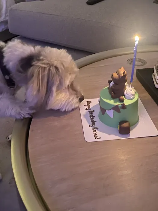 Axel & Tia’s Pet Bakery Picture 6