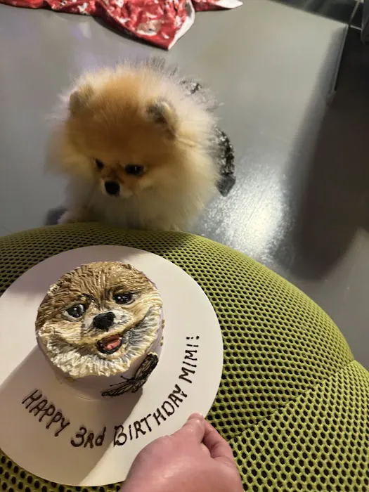 Axel & Tia’s Pet Bakery Picture 3