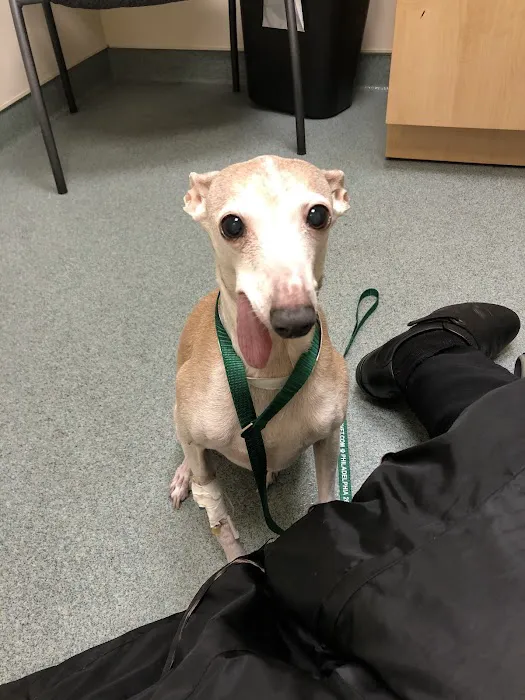 BluePearl Pet Hospital Picture 4