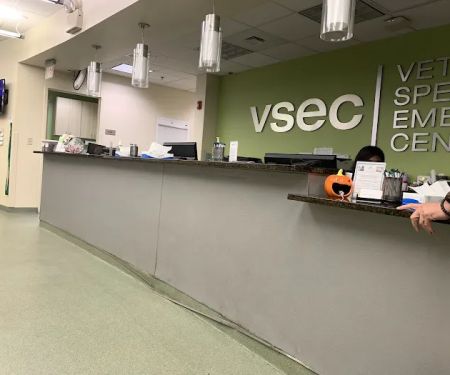 BluePearl Pet Hospital