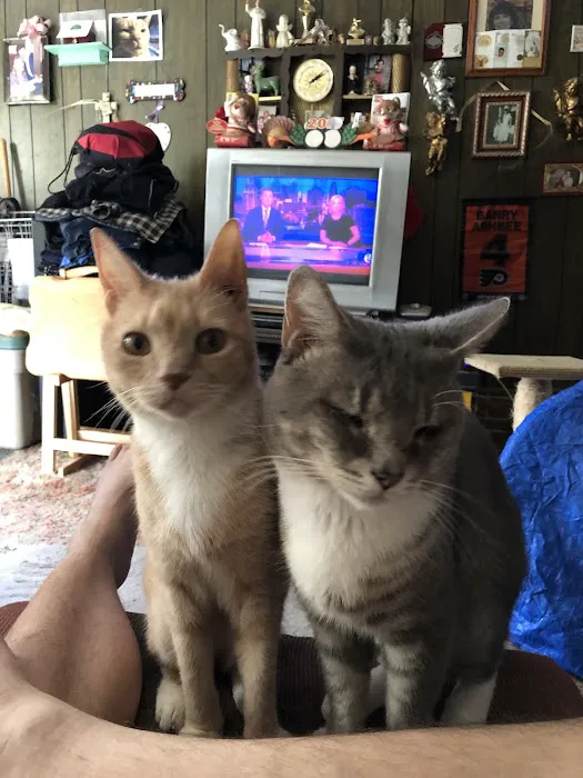 BluePearl Pet Hospital Picture 2