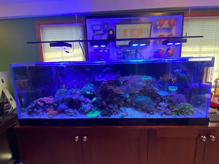 Aqua Spaces - Aquarium Maintenance Picture 2