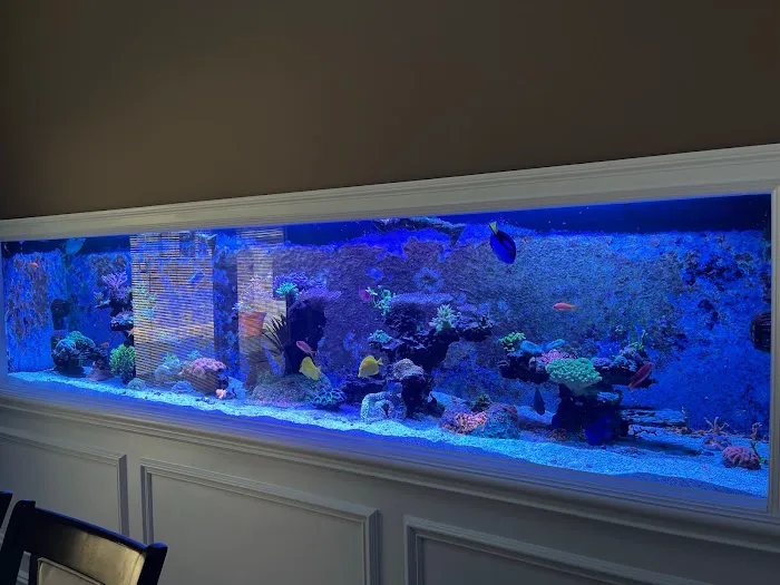 Aqua Spaces - Aquarium Maintenance Picture 1
