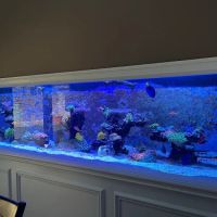 Aqua Spaces - Aquarium Maintenance ico