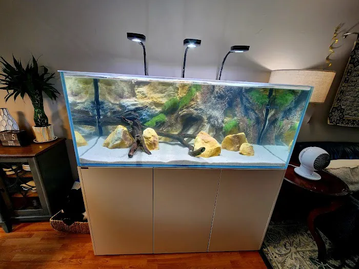 Aqua Spaces - Aquarium Maintenance Picture 6