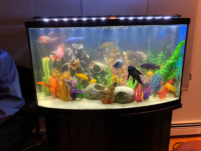Aqua Spaces - Aquarium Maintenance Picture 5