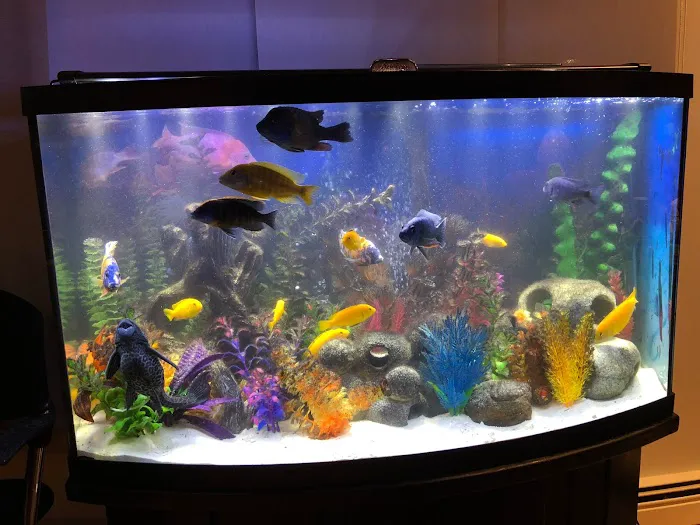 Aqua Spaces - Aquarium Maintenance Picture 4