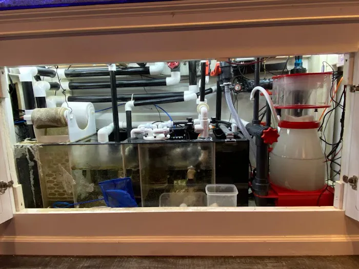 Aqua Spaces - Aquarium Maintenance Picture 9