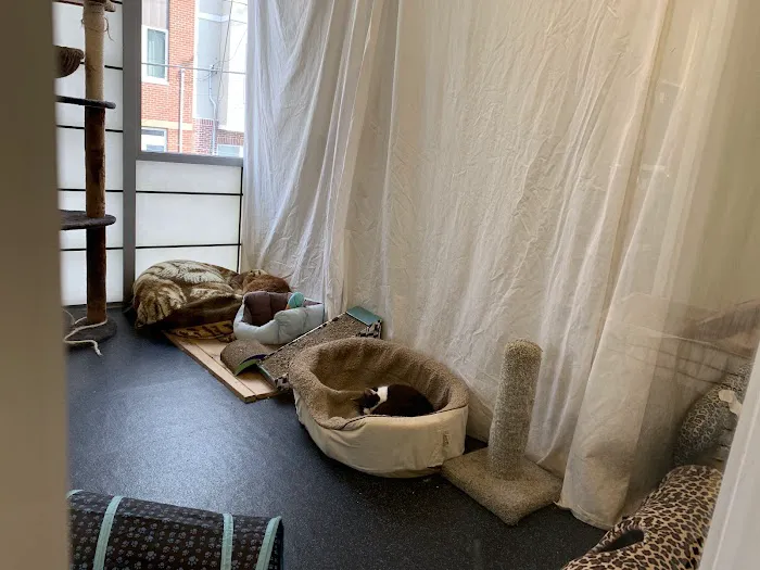Companion Pet Hospital Picture 4