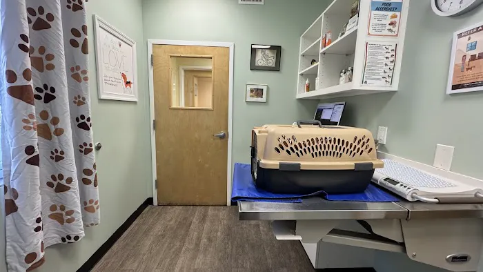 Companion Pet Hospital Picture 5