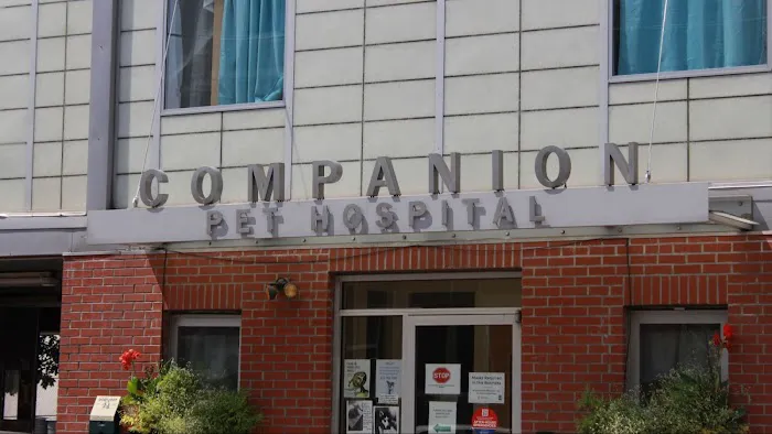 Companion Pet Hospital Picture 8