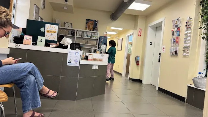 Companion Pet Hospital Picture 6