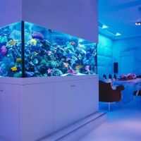 Okeanos Aquascaping ico