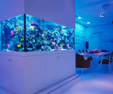 Okeanos Aquascaping