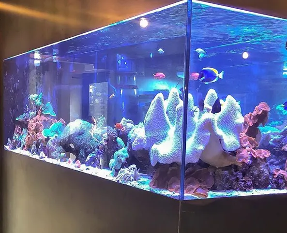Okeanos Aquascaping Picture 7