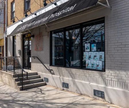 Fishtown Animal Hospital