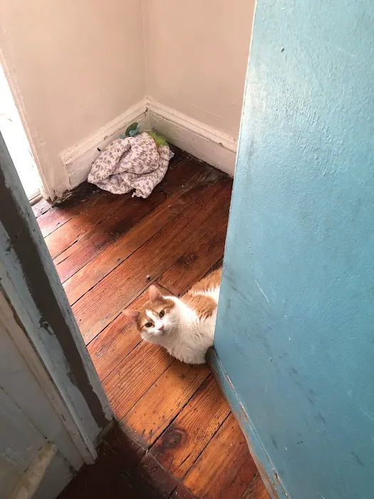 Fishtown Animal Hospital Picture 3