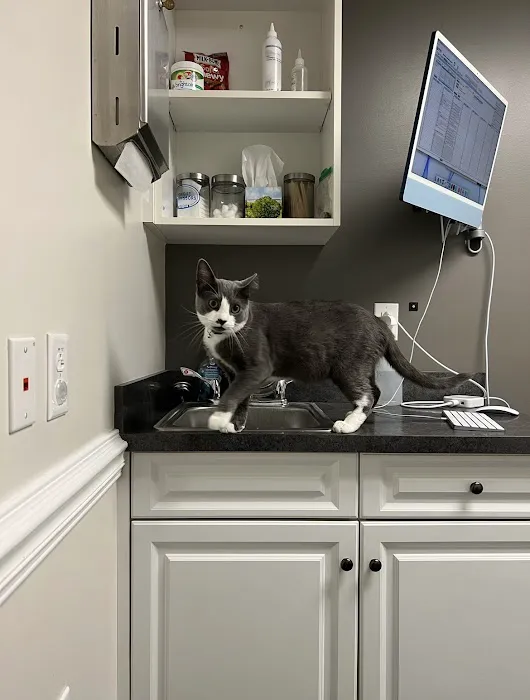 Fishtown Animal Hospital Picture 2