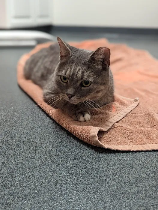 Fishtown Animal Hospital Picture 7