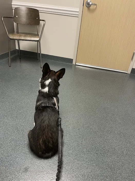 Fishtown Animal Hospital Picture 10