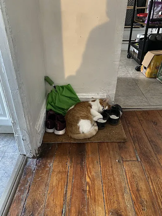 Fishtown Animal Hospital Picture 4