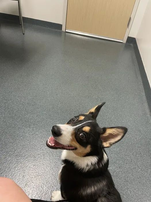 Fishtown Animal Hospital Picture 8