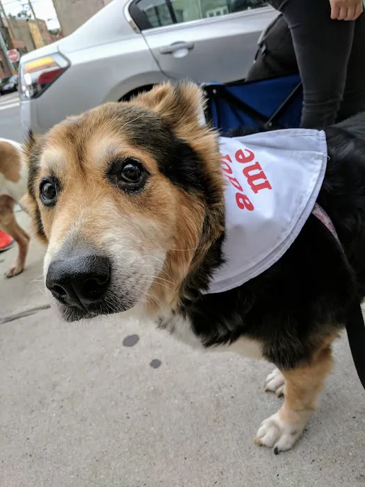 Fishtown Animal Hospital Picture 5