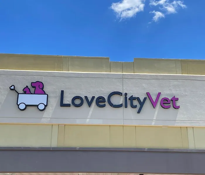 Love City Vet Picture 1