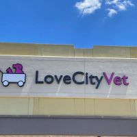 Love City Vet ico