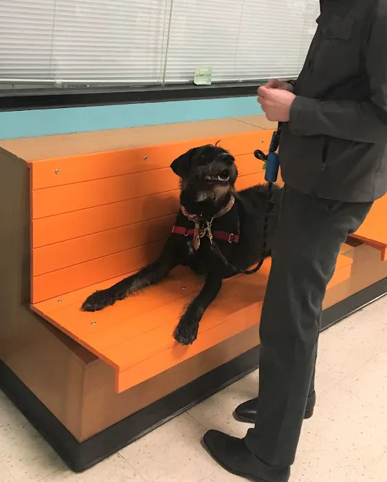 Banfield Pet Hospital Picture 8