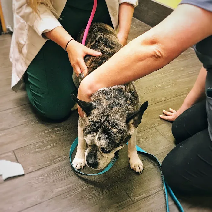 Banfield Pet Hospital Picture 6