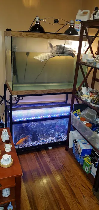 Best Aquarium Service NYC, Inc. Picture 3