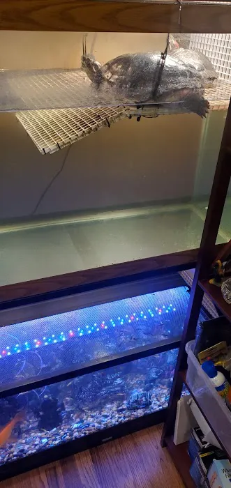Best Aquarium Service NYC, Inc. Picture 1