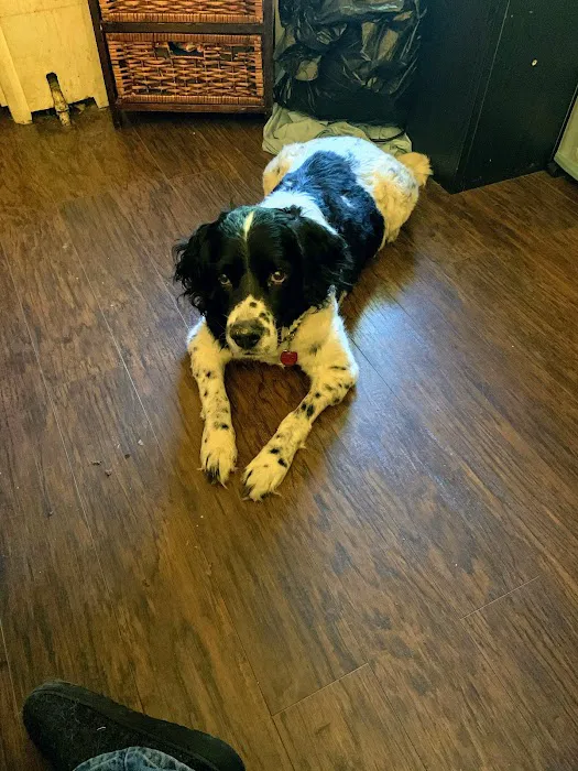 O'Neal Animal Hospital Picture 10