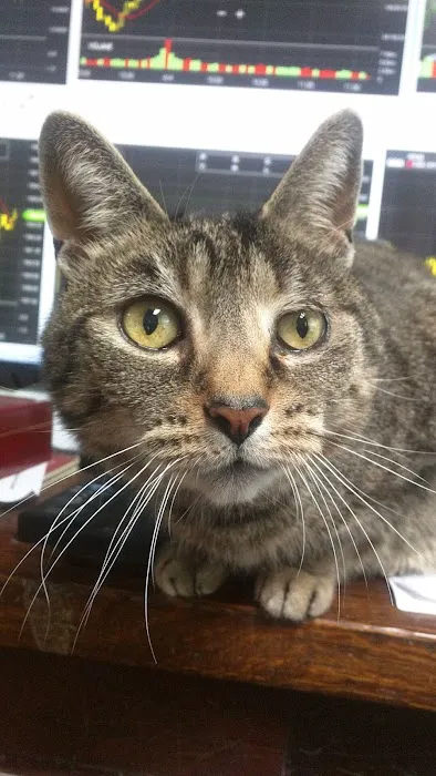 O'Neal Animal Hospital Picture 2