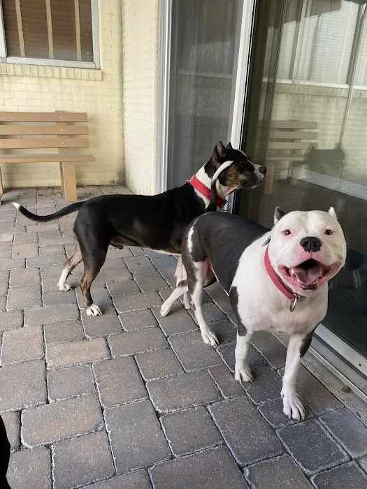 O'Neal Animal Hospital Picture 8