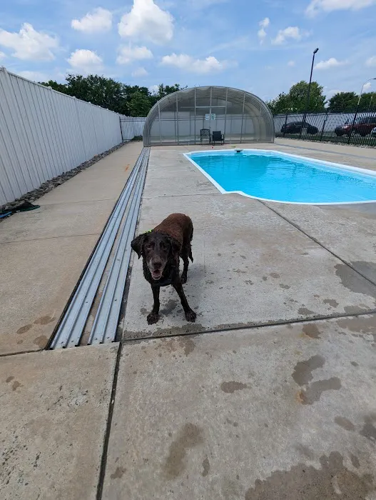 Philadelphia Animal Hospital Picture 8