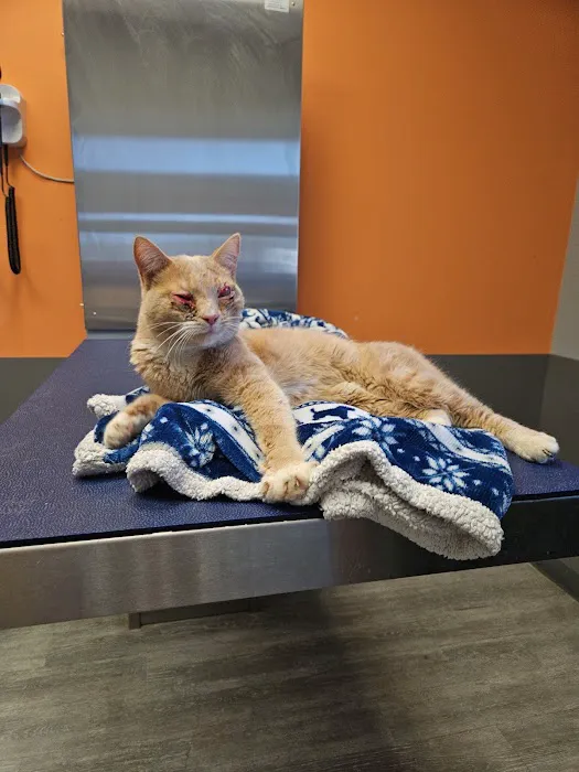 Philadelphia Animal Hospital Picture 9