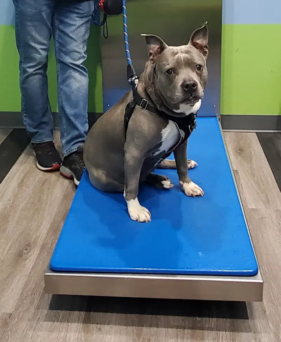 Philadelphia Animal Hospital Picture 2