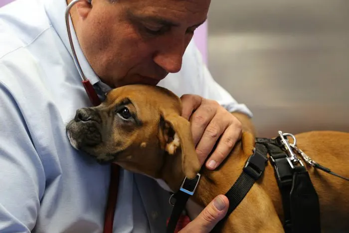 Philadelphia Animal Hospital Picture 5