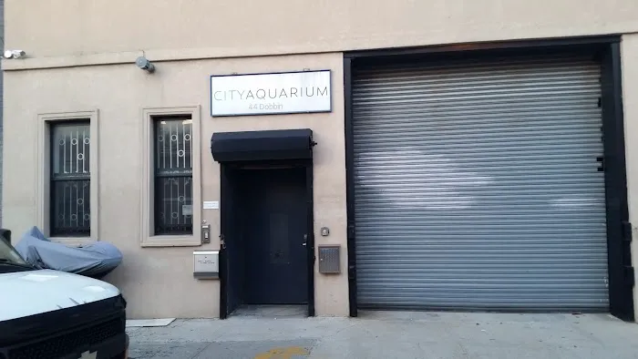 City Aquarium LLC Picture 1