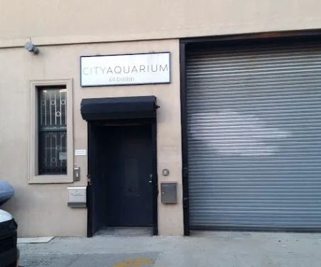 City Aquarium LLC