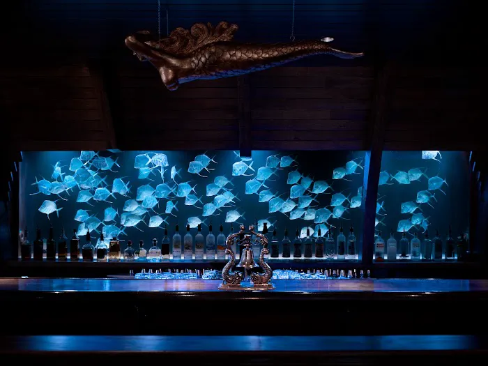City Aquarium LLC Picture 2