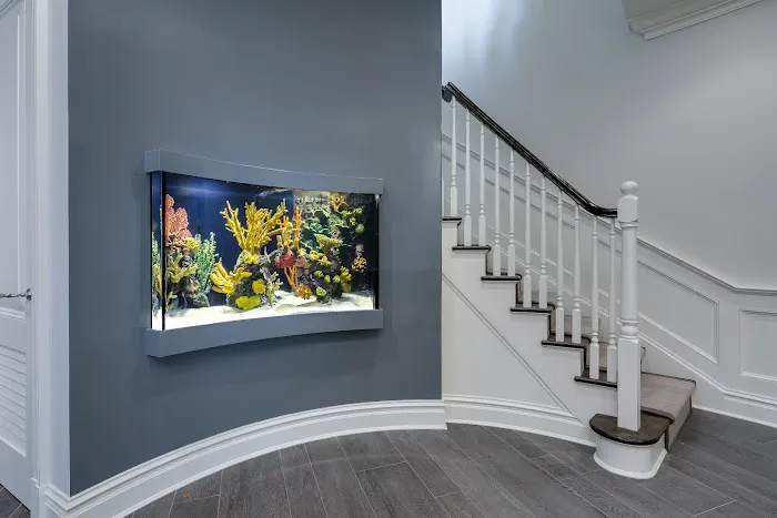 City Aquarium LLC Picture 5