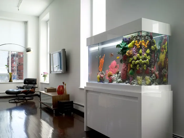 City Aquarium LLC Picture 3